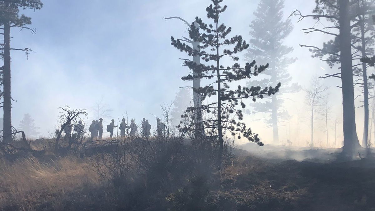 Firefighters working the Rampart Fire.