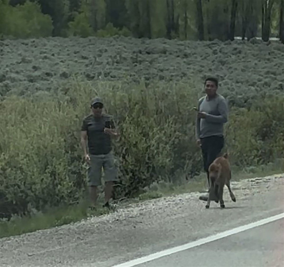 <i>National Park Service</i><br/>Rangers at Wyoming’s Grand Teton National Park are seeking information on two people who are accused of harassing a bison calf last weekend