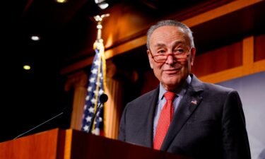 Senate Majority Leader Chuck Schumer speaks at a news conference at the US Capitol Building on December 7