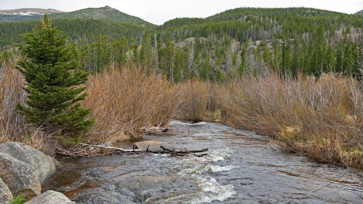 RMNP