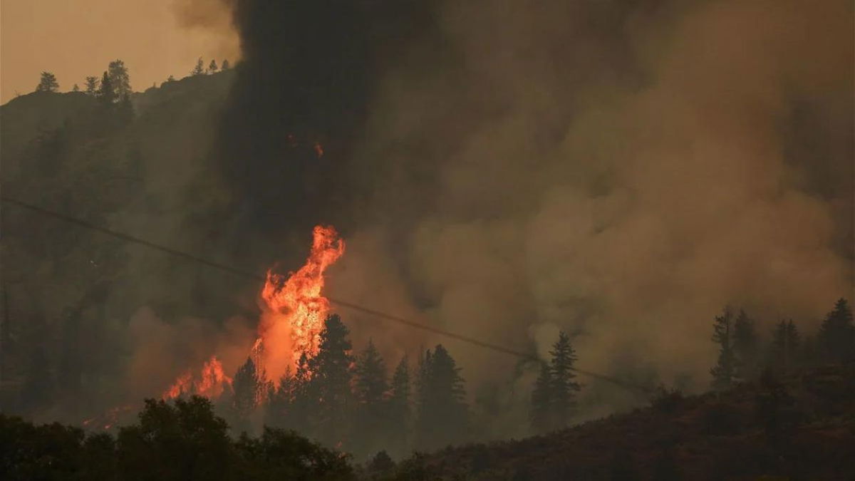 Trees catch fire during the Eagle Bluff wildfire after it crossed the Canada-US border from the state of Washington and prompted evacuation orders
