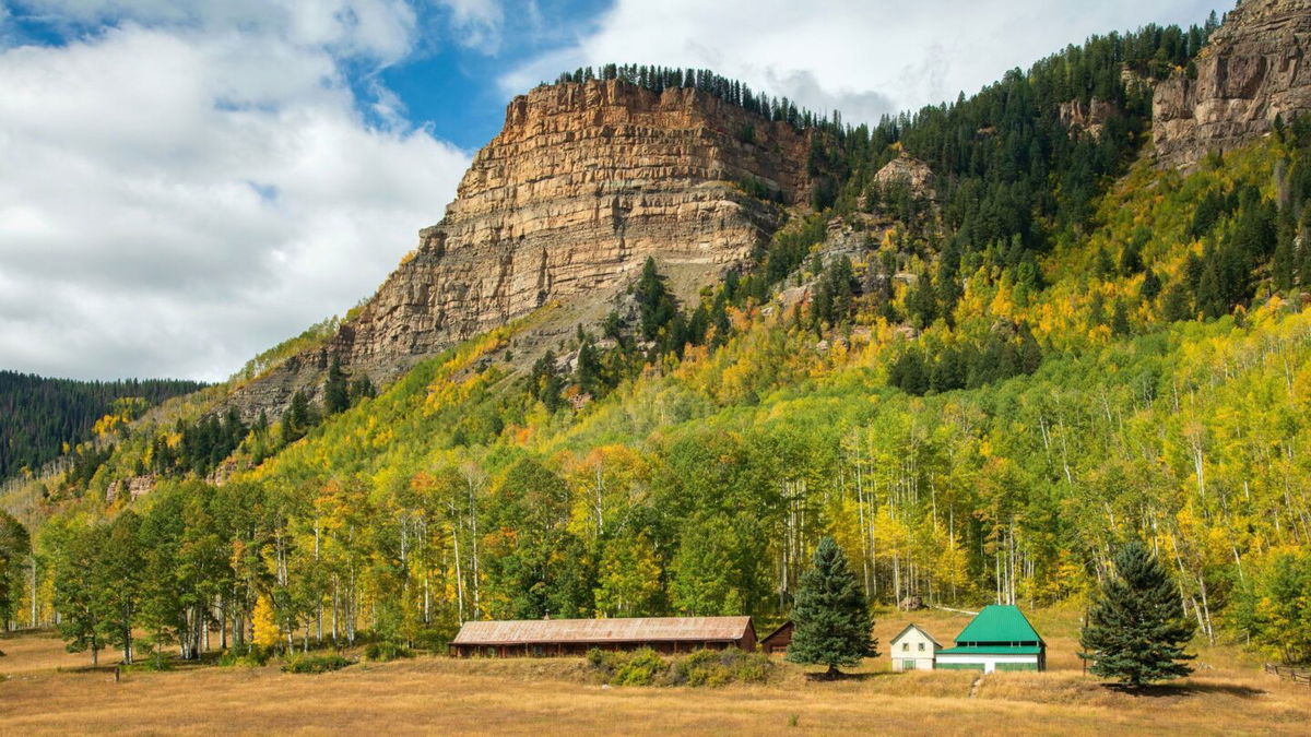 <i>Prisma by Dukas/Universal Images Group/Getty Images</i><br/>A bear severely injured a 35-year-old herder who was working for a sheep grazing allotment on the San Juan National Forest in Colorado