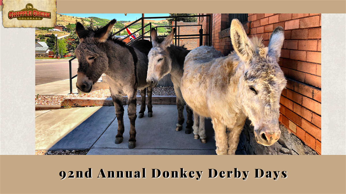 92nd Annual 'Donkey Derby Days' returns to Cripple Creek Aug. 1113 KRDO