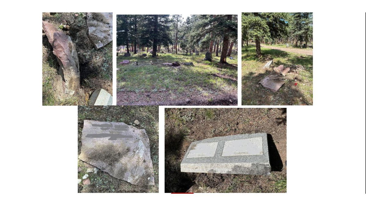 Pictures of the damaged headstones