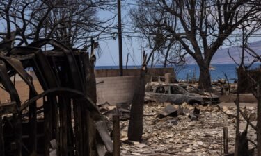 Destroyed buildings and cars are seen in the aftermath of the Maui wildfires in Lahaina
