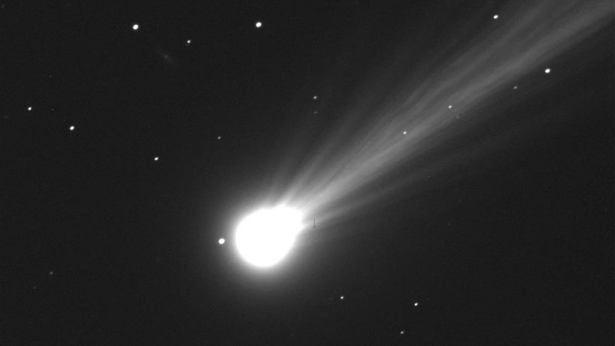 Lowell Observatory astronomer Dr. Larry Wasserman captured an image of Comet Nishimura using the Lowell Discovery Telescope (4.3-m diameter) Wednesday morning during twilight.
