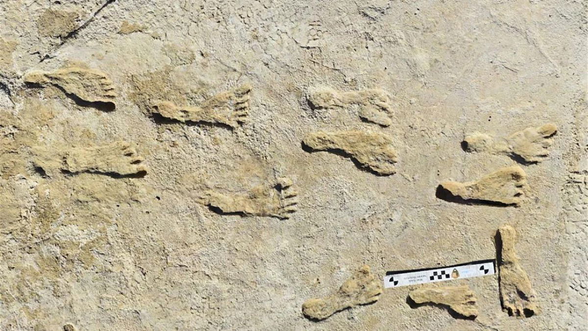 Human footprints infilled with white gypsum sand at White Sands National Park.
