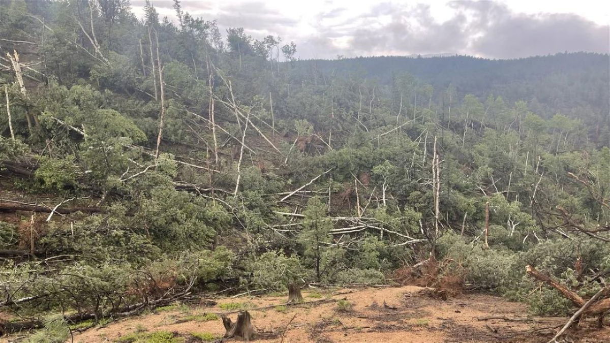 Work begins to restore area damaged by Pikes Peak tornado | KRDO