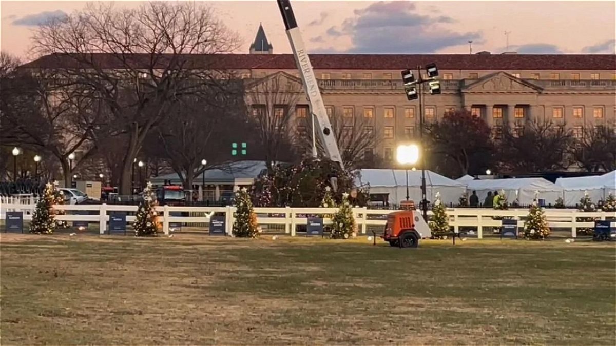 The National Christmas tree fell November 28 as DC saw wind gusts over 30 mph.
