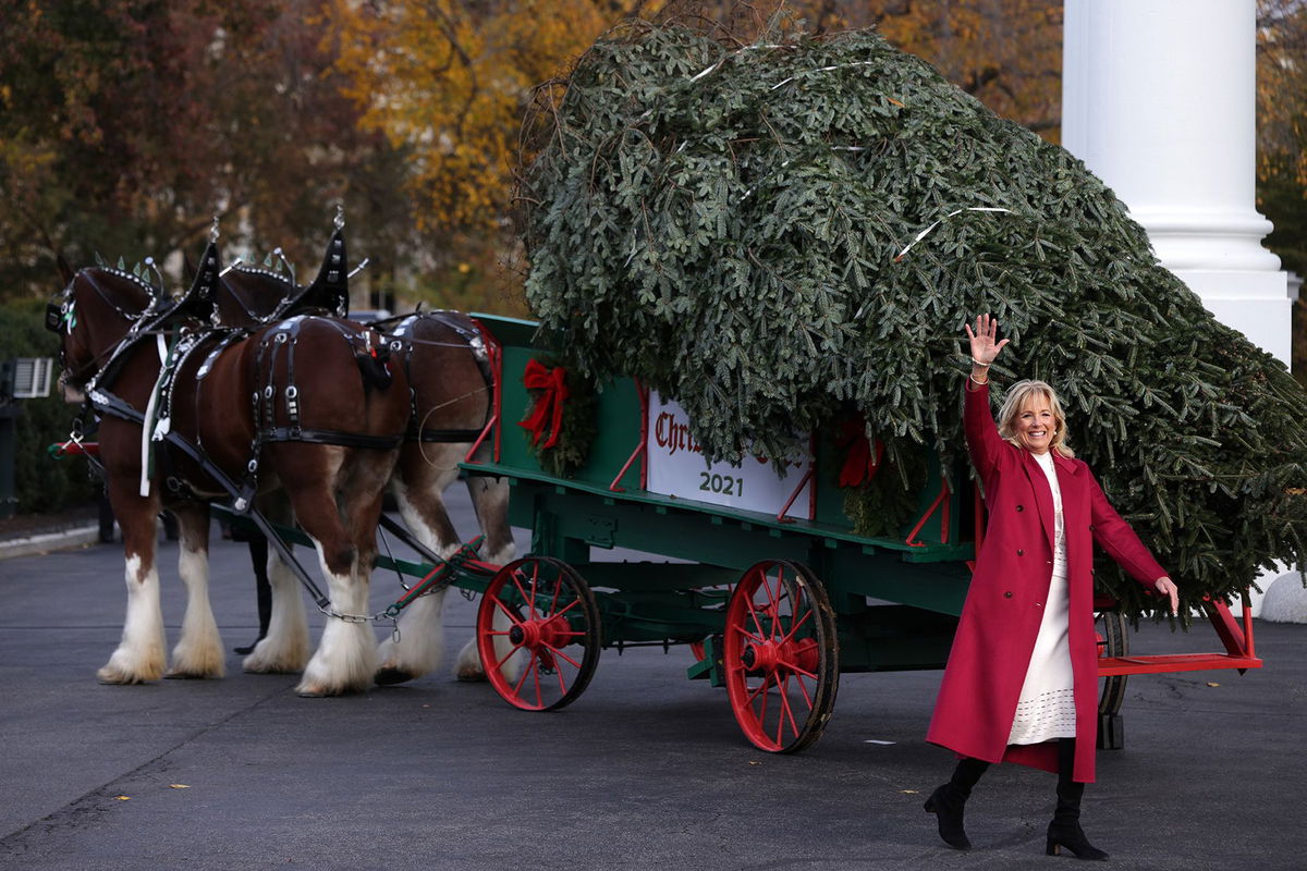 Which President Infamously Banned Christmas Trees in the White House?