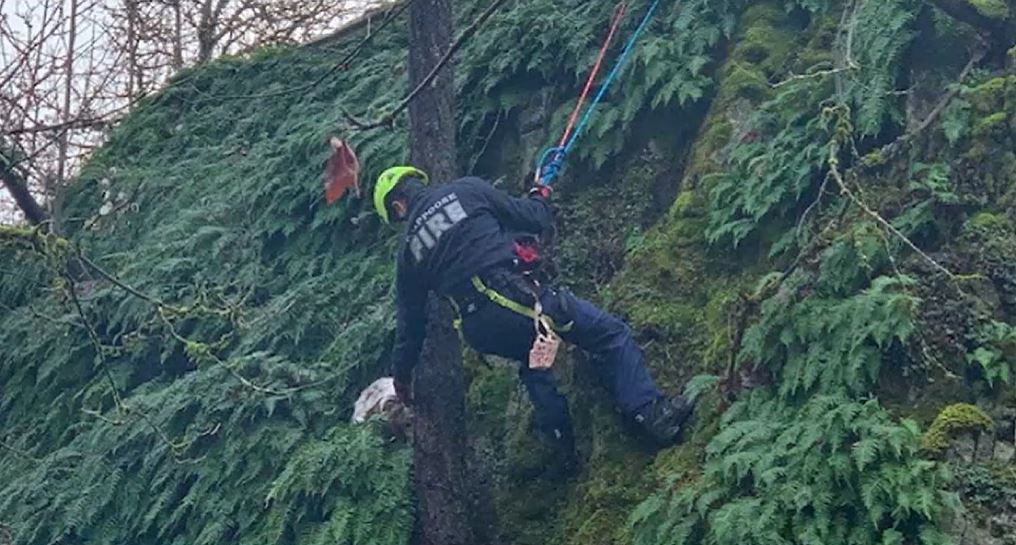 <i></i><br/>A  dog was rescued by first responders after he became stuck on a steep cliff in St. Helens