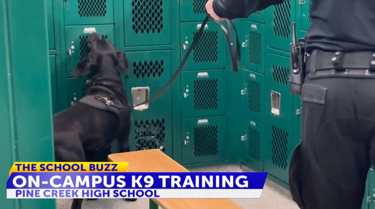 The School Buzz: CSPD K-9s Train At D-20 High School Before Students ...