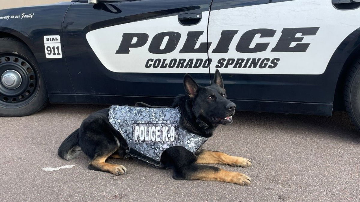 Cspd K9 Creed Receives Body Armor Donation Krdo