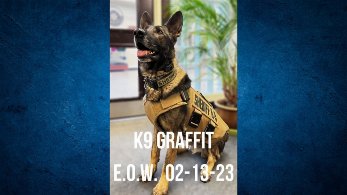 K9 Graffit