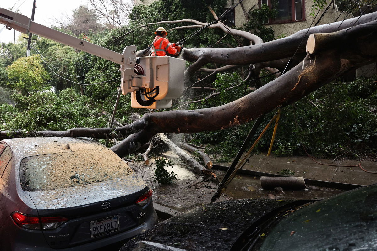 A large tree branch fell, knocking out power and damaging vehicles during a storm on February 19, 2024.