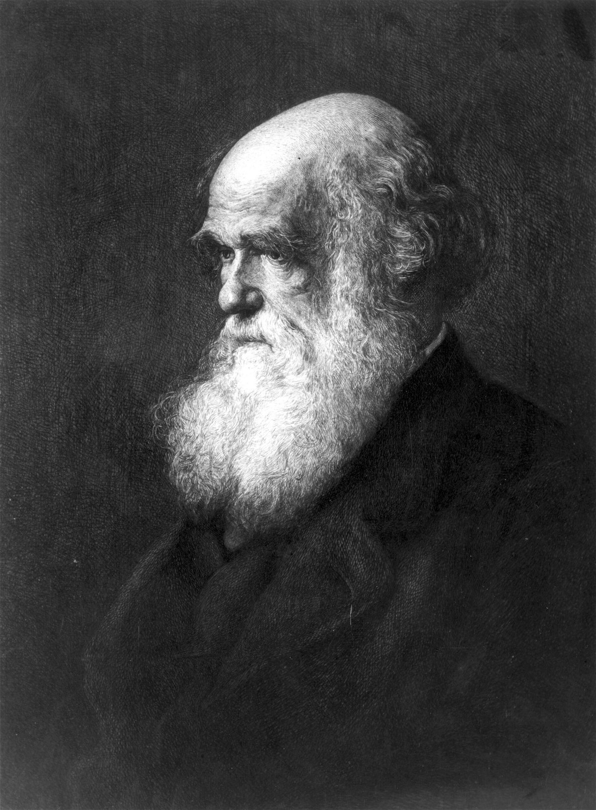<i>Rischgitz/Hulton Archive/Getty Images</i><br/>Charles Darwin is depicted circa 1880 in a painting by Walter William Ouless.
