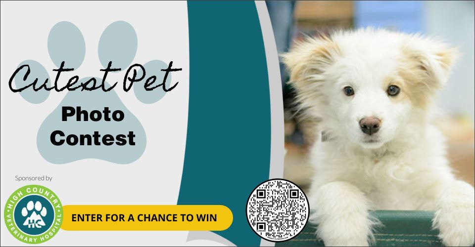 Cutest Pet Photo Contest 2024 KRDO   5552877 