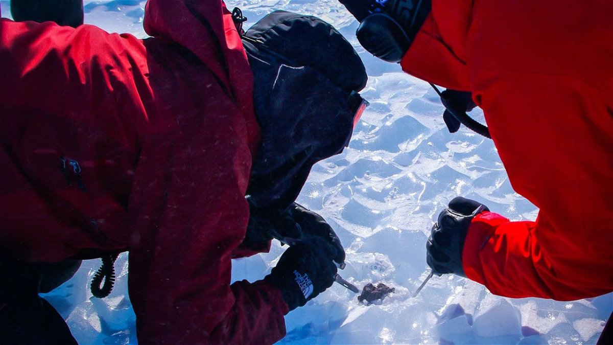 Scientists carve out a meteorite submerged under the ice during a 2009-2010 field mission to Antarctica's Balchenfjella.
