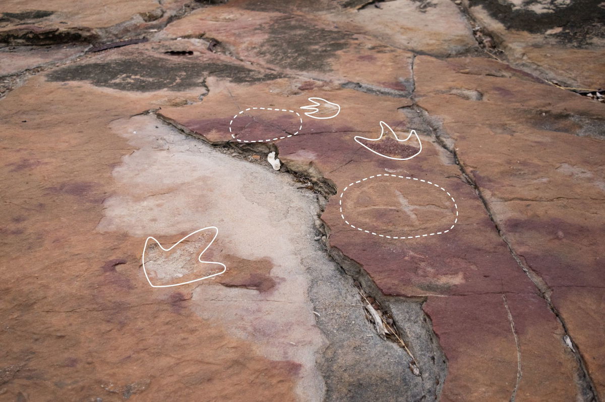 <i>Leonardo Troiano via CNN Newsource</i><br/>Called petroglyphs