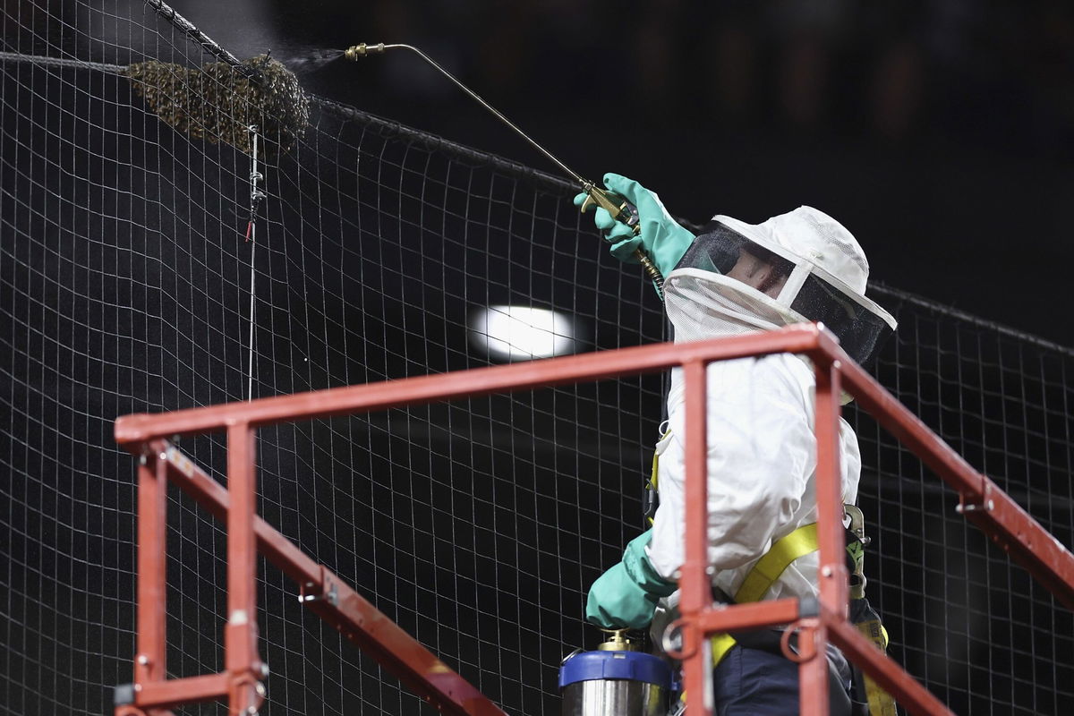 <i>Christian Petersen/Getty Images via CNN Newsource</i><br/>Beekeeper Matt Hilton reacts to fans before throwing out the ceremonial first pitch.