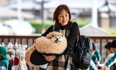 The late Kabosu pictured with her owner Atsuko Sato in Chiba prefecture