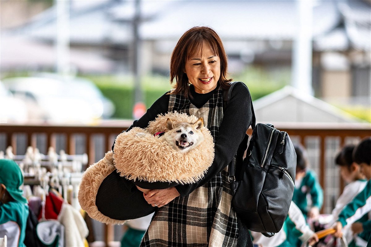 <i>Philip Fong/AFP/Getty Images via CNN Newsource</i><br/>The late Kabosu pictured with her owner Atsuko Sato in Chiba prefecture