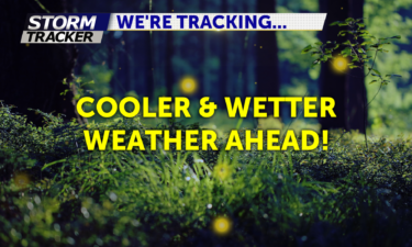 Cooler and wetter soon