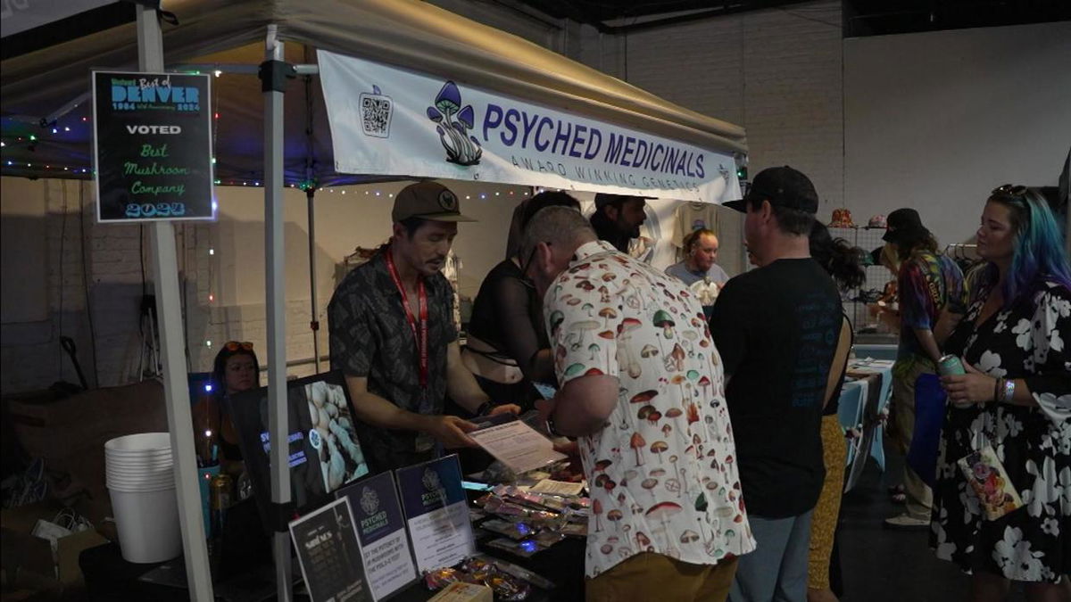 <i>KCNC via CNN Newsource</i><br />Lovers of magic mushrooms gathered to celebrate recreational use at the first-ever Denver Shroom Fest in RiNo.