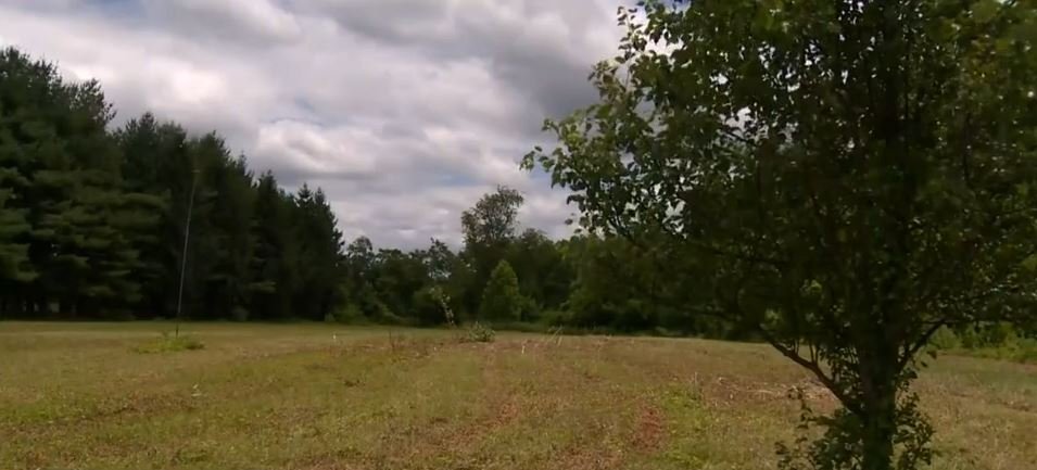 <i>WJZ via CNN Newsource</i><br/>People with the Oregon Ridge Nature Center are upset after Baltimore County workers mistakenly mowed a meadow filled with grass and flowers used for wildlife.