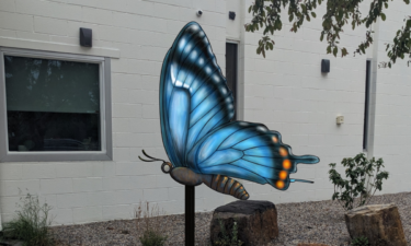 A new metal butterfly art sculpture stands outside the building.
