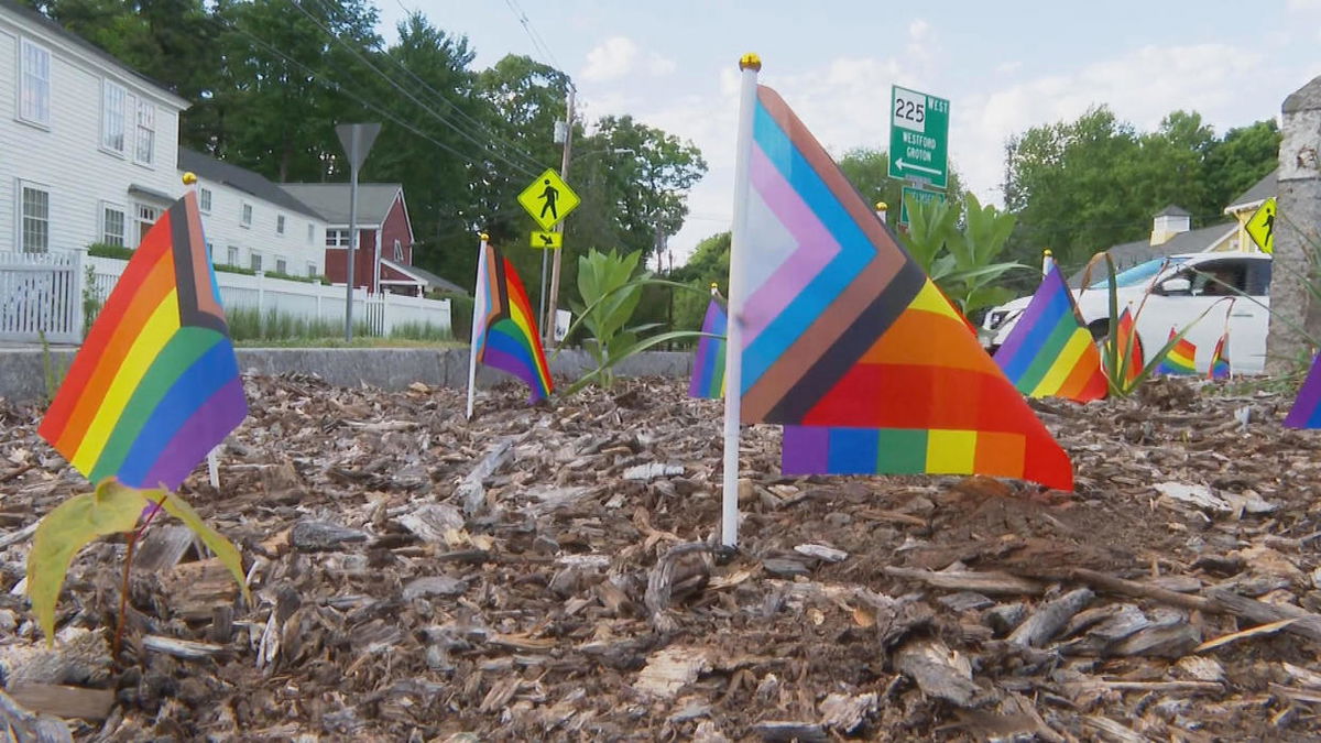 <i>WBZ via CNN Newsource</i><br/>Investigators in Carlisle are asking neighbors and businesses to check surveillance video and please come forward if they know who destroyed the pride display in the center of town.