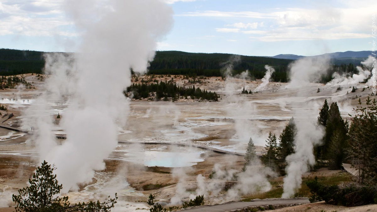 Norris Geyser Basin in Yellowstone National Park