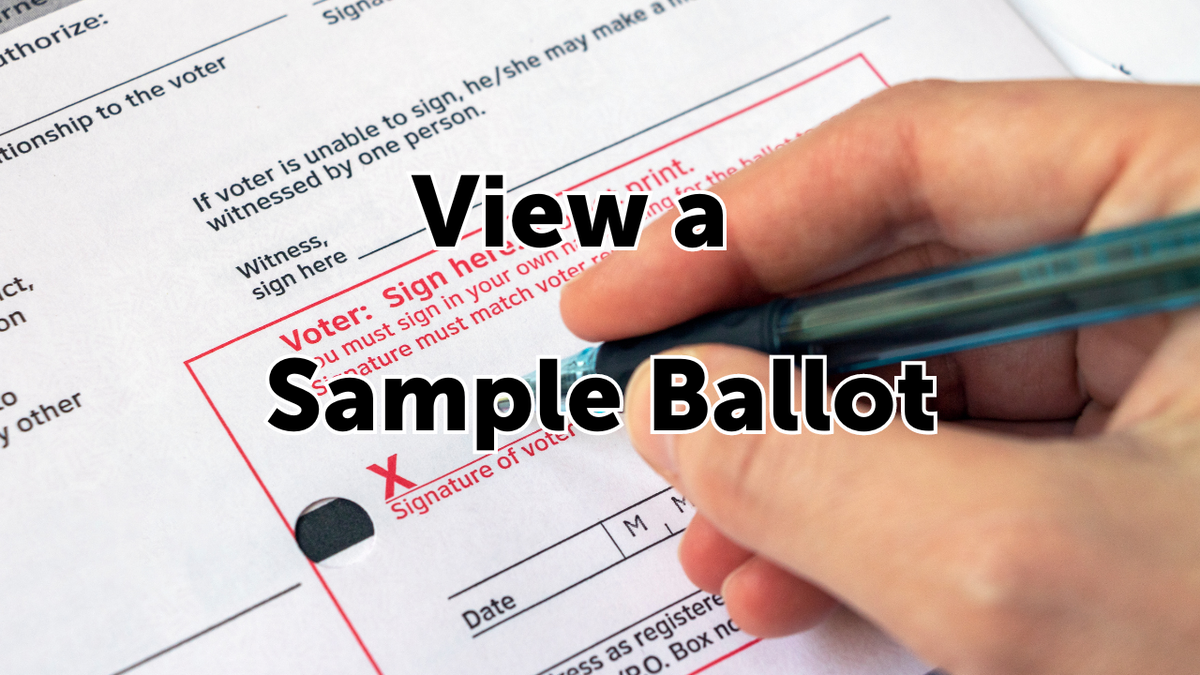 View a Sample Ballot