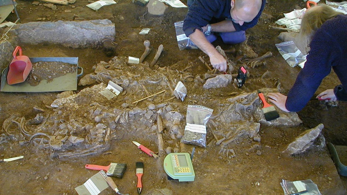 Archaeologists excavate a grave in Frälsegården, Sweden, in 2001. DNA extracted from some of the bones revealed the presence of the bacterium that causes plague.
