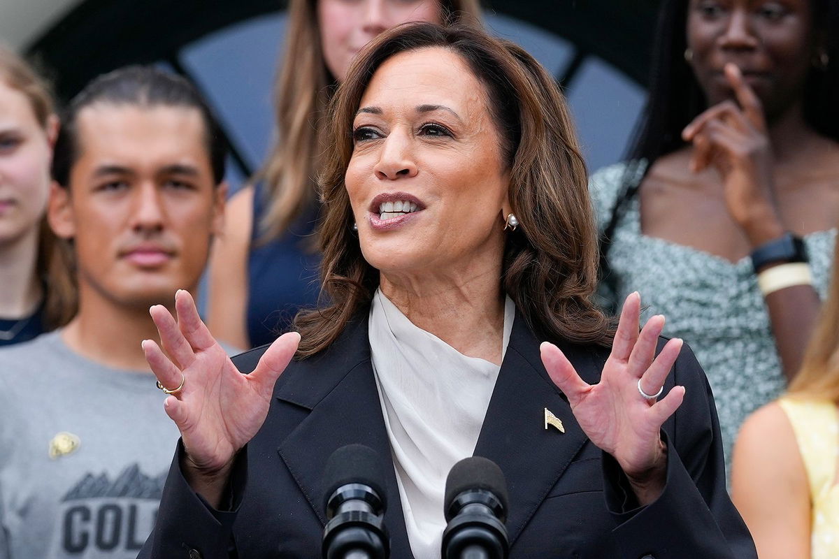 <i>Susan Walsh/AP via CNN Newsource</i><br/>The House Republican arm is developing a targeted strategy to campaign against Vice President Kamala Harris