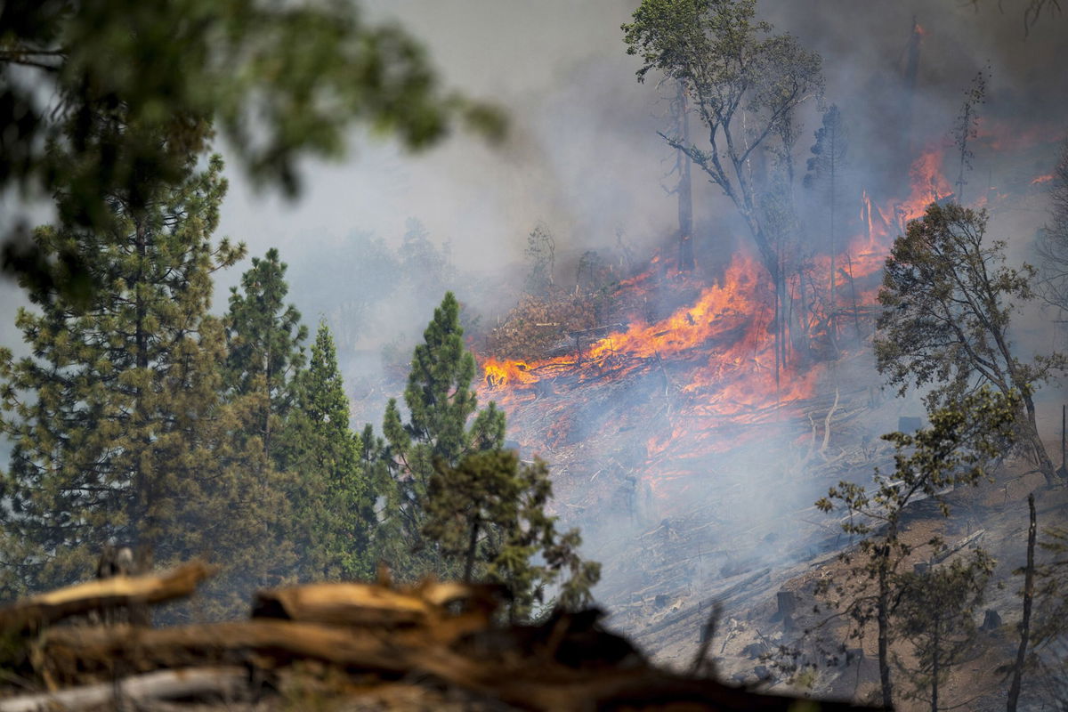 <i>Nic Coury/AP via CNN Newsource</i><br/>The Park Fire burns along Highway 32 near Forest Ranch