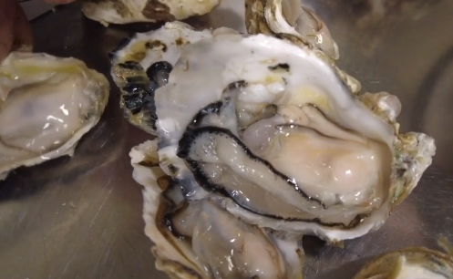 <i>KGTV via CNN Newsource</i><br/>The heat waves are accelerating a deadly herpes virus in some of San Diego's oysters