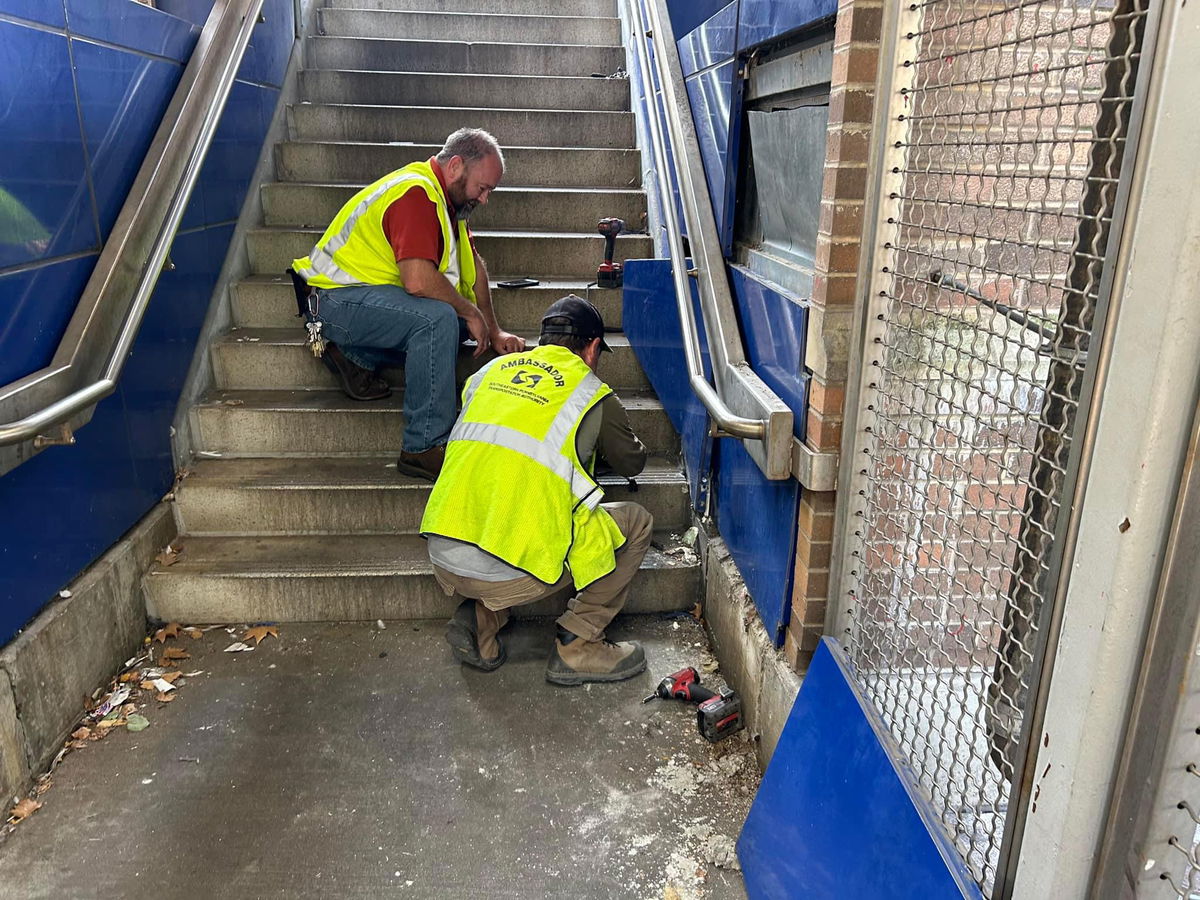 Transport workers rescue cat and her five kittens that lived in the station wall