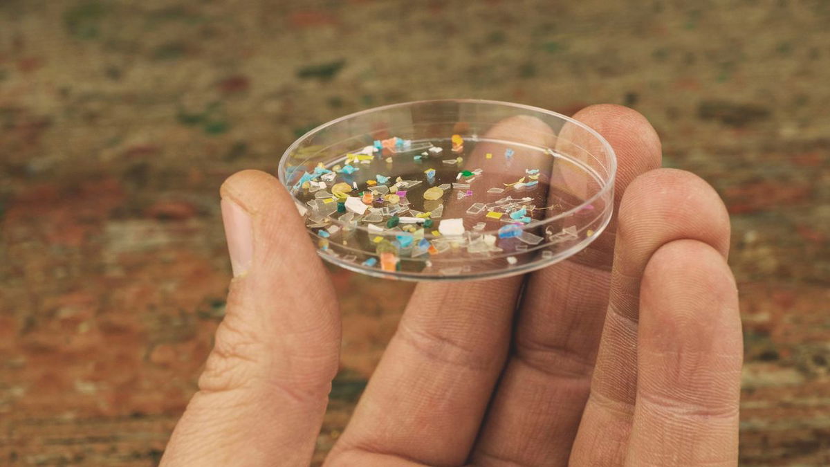 Microplastics can sometimes be seen with the naked eye and nanoplastics cannot.
