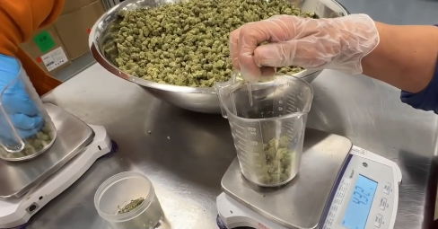 <i>WEWS via CNN Newsource</i><br/>Firelands Scientific is working to lessen its carbon footprint and connect veterans to resources within the marijuana industry.