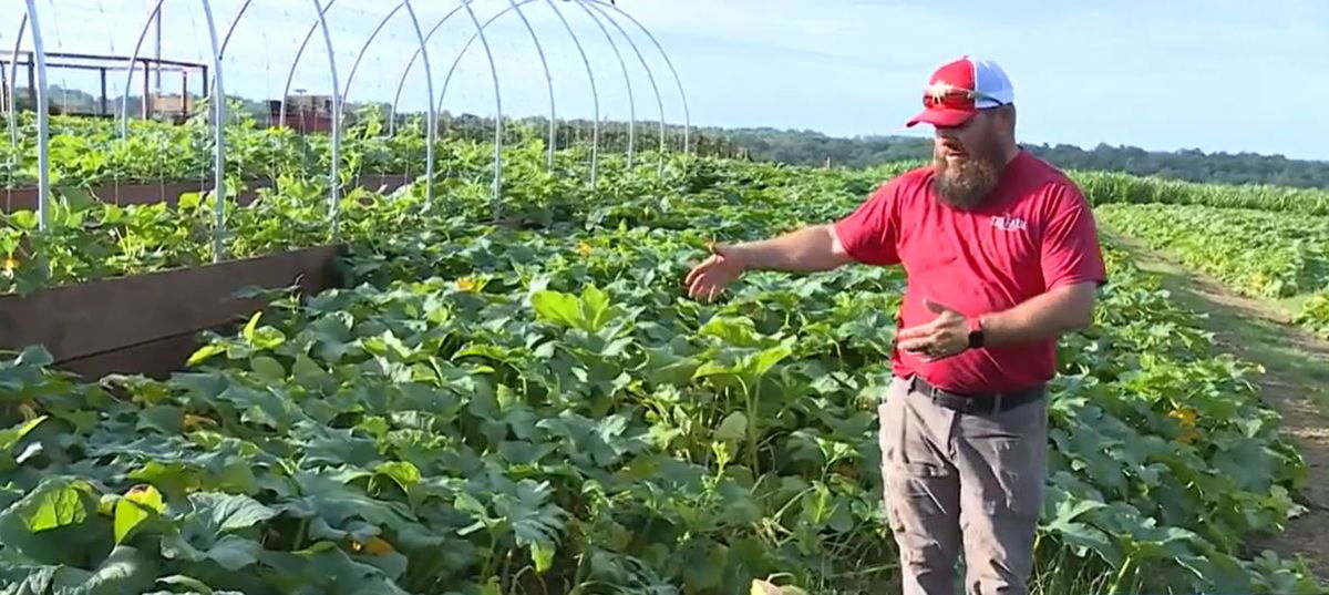 <i>WXII via CNN Newsource</i><br/>North Carolina pumpkin season was hit hard as farmer