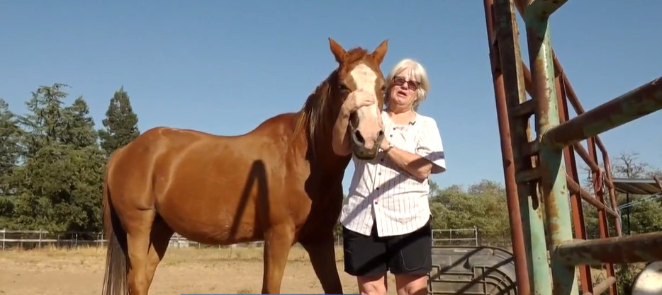 <i>KOVR via CNN Newsource</i><br/>Jean Bishop  is pleading for help after her sick horse went missing from her home on September 2 in Sacramento.