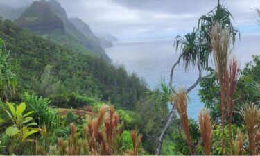 The Kauai Fire Department responded to multiple rescue calls over the weekend