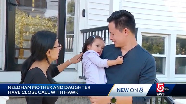 <i>WCVB via CNN Newsource</i><br/>Surveillance video shows the scary moment when a red-tailed hawk swooped down at a mother and her 2-year-old daughter while they were playing outside in Needham