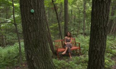 A typical memorial at Better Place Forests starts with a loved one's ashes