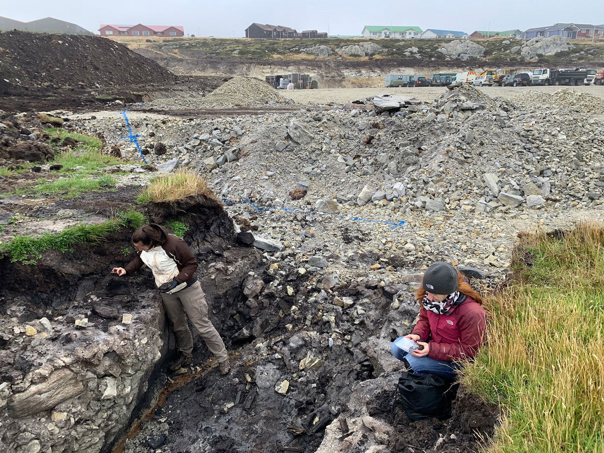 <i>Zoë Thomas/University of Southampton via CNN Newsource</i><br/>A panoramic view of the Falkland Islands shows a windswept