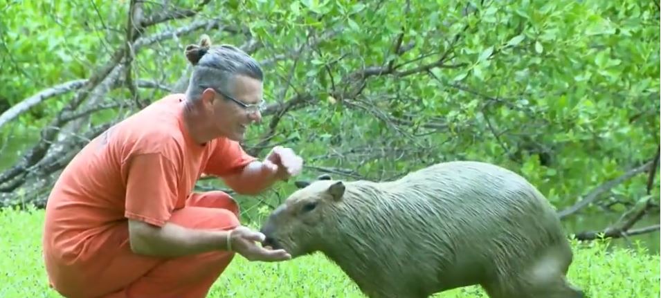 <i>WFOR via CNN Newsource</i><br/>The Monroe County Sheriff's Office Animal Farm is an animal farm you have never seen before. All the animals live under the stilts of the jail