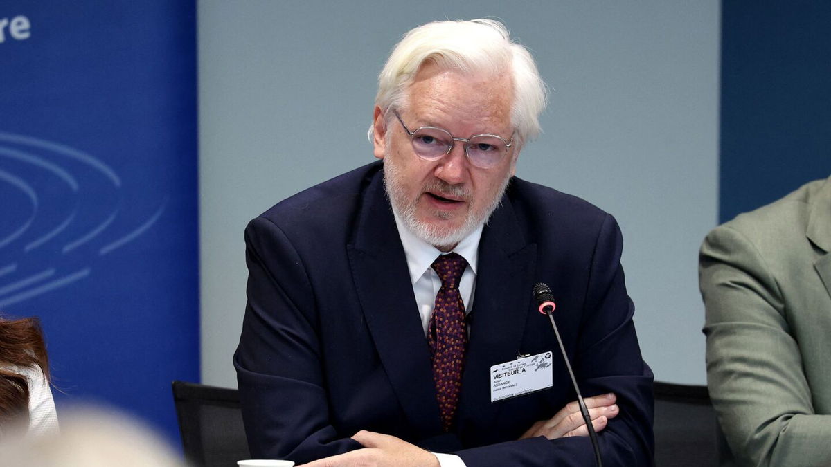 <i>Frederick Florin/AFP/Getty Images via CNN Newsource</i><br/>WikiLeaks founder Julian Assange speaks during a parliamentary hearing at the Council of Europe in Strasbourg