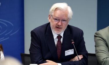 WikiLeaks founder Julian Assange speaks during a parliamentary hearing at the Council of Europe in Strasbourg