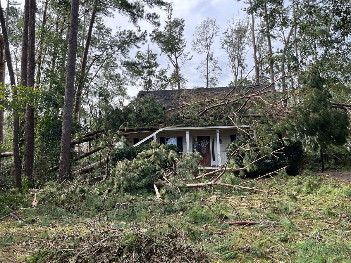 <i>CNN via CNN Newsource</i><br/>Trees were torn from the sidewalk in downtown Augusta after the city saw about four months’ worth of rain in just two days